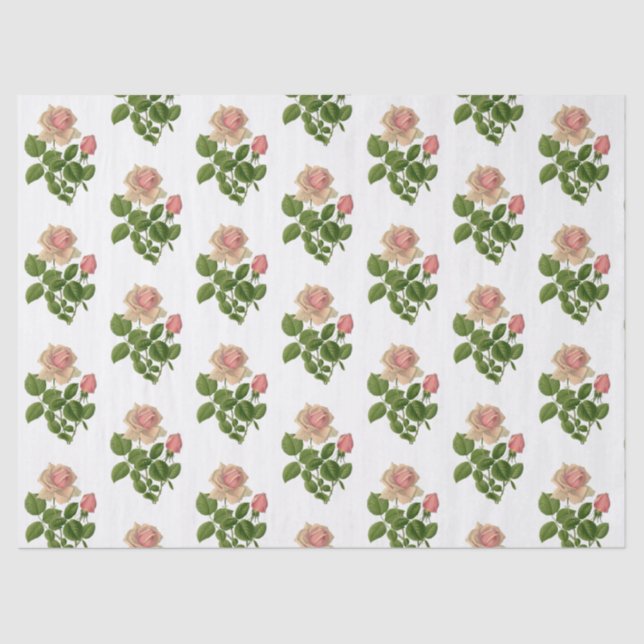Papel De Seda Vintage Pink Tea Roses Flowers (Anverso)