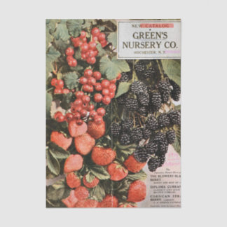 Papel De Seda Vintage Seed Catalog, 1919, Green's Nursery, Fruit