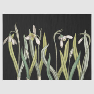 Papel De Seda Vintage Snowdrop Black Spring