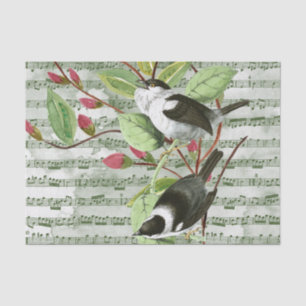 Papel De Seda Vintage Songbirds (pájaros del sol) en la música d