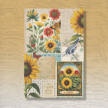 Vintage Sunflower Birds Seed Packet Ephemera