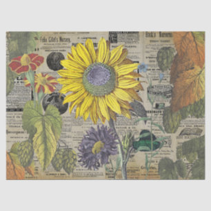Papel De Seda Vintage Sunflower Horticulture Ads Ephemera