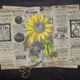 Papel De Seda Vintage Sunflower Horticulture Ads Ephemera