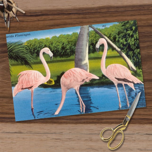 Papel De Seda Vintage Three Florida Flamingos (Subido por el creador)