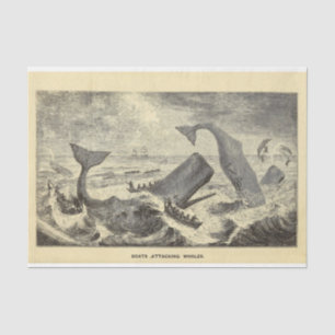Papel De Seda Vintage Whale Bote Ephemera Desenmascarar Náutica
