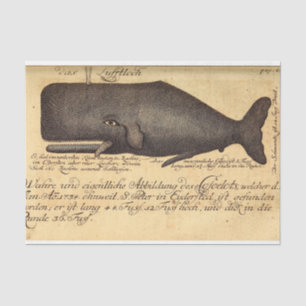 Papel De Seda Vintage Whale Script Ephemera Decoupage Nautical