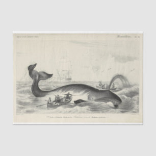 Papel De Seda Vintage Whale Ship Ephemera Decoupage Nautical