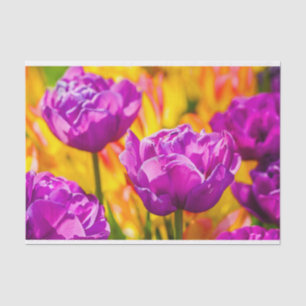 Papel De Seda Violeta encantadora de tulipanes