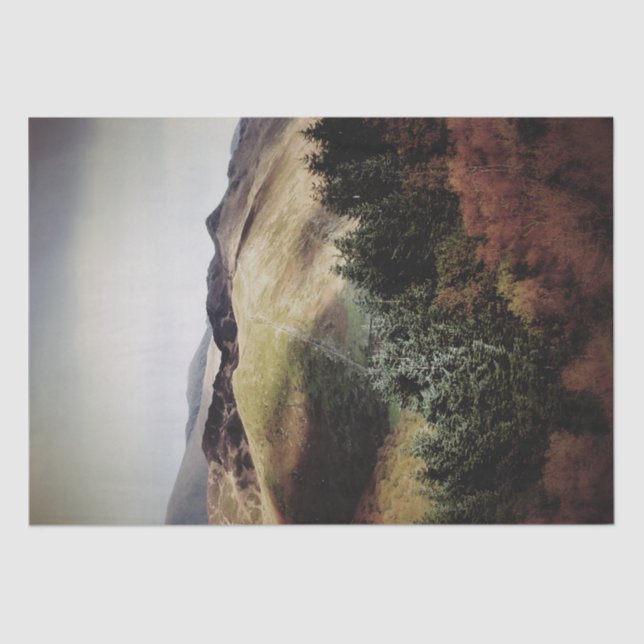 PAPEL DE SEDA VISTAS A LAS MONTAÑAS DE GALES (Anverso)