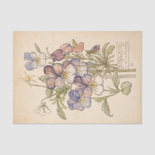 Papel De Seda Walberswick del Heart's-Ease de Charles Mackintosh (Anverso)