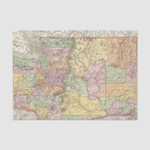 Papel De Seda Washington 3