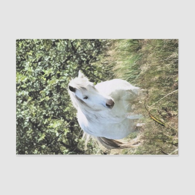 PAPEL DE SEDA WELSH MOUNTAIN PONY (Anverso)