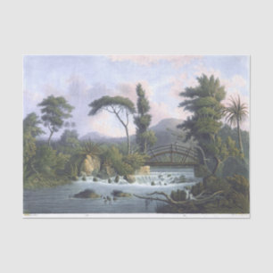 Papel De Seda Westmoreland