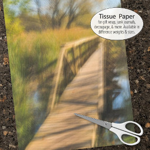 Papel De Seda Wetlands Boardwalk Scene Early Fall