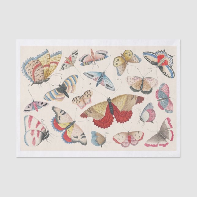 Papel De Seda Whimsical Hand-Drawn Set de Mariposas (Anverso)