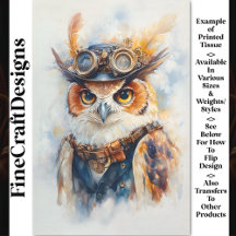 Whimsy Watercolor Wise Owl Explorer CE2 Decoupage