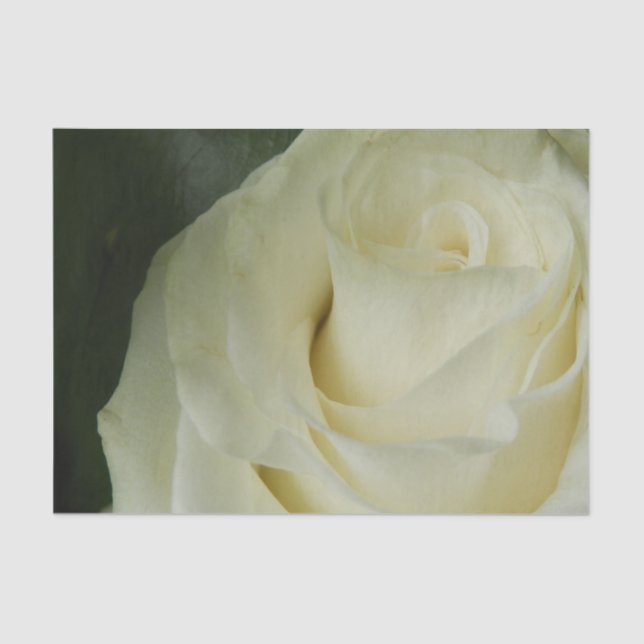 Papel De Seda White Rose (Anverso)