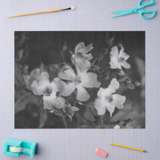 Papel De Seda Wild roses 