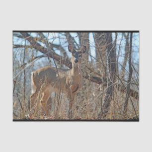 Papel De Seda Willife Deer Woods