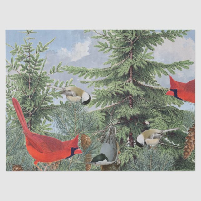 Papel De Seda Winter Bird Forest Cardinal Chickadee Nuthatch Sky (Anverso)
