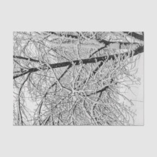 Papel De Seda Winter Blizzard Storm Snowy Tree Nature Fotografía