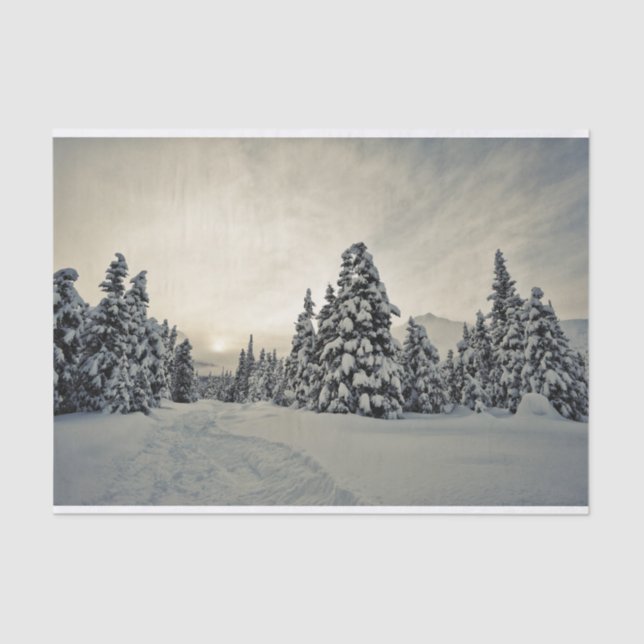 Papel De Seda Winter Magic (Anverso)