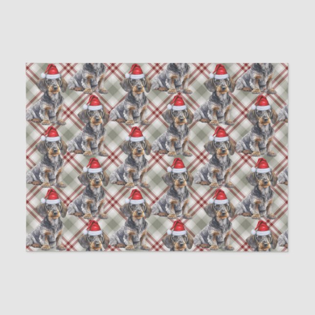 Papel De Seda Wire Haired Dachshund Santa Dog Plaid Christmas (Anverso)