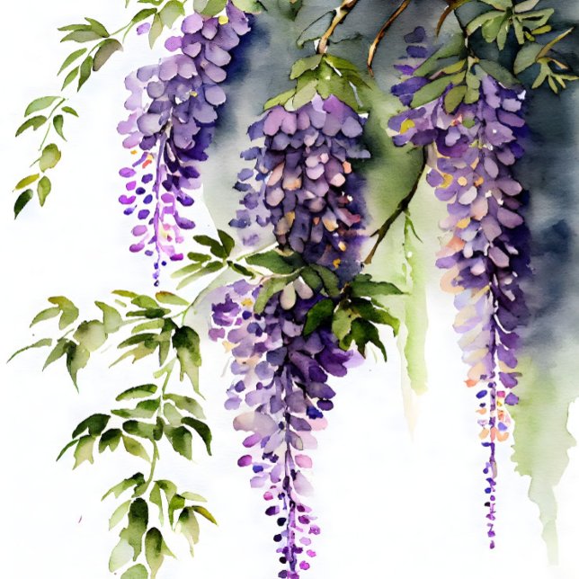 Papel De Seda Wisteria en la desorientación sombría (Subido por el creador)