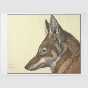 Papel De Seda Wolf Ephemera Decoupage