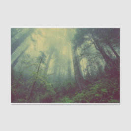 Papel De Seda Woodland desde abajo