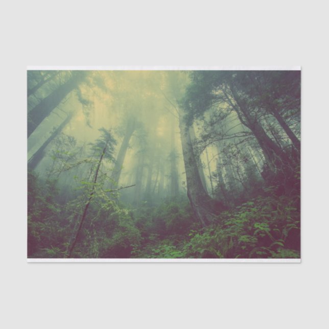 Papel De Seda Woodland desde abajo (Anverso)