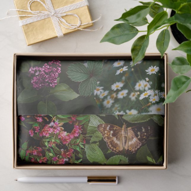 Papel De Seda Woodland Dreams Collage (Regalo )