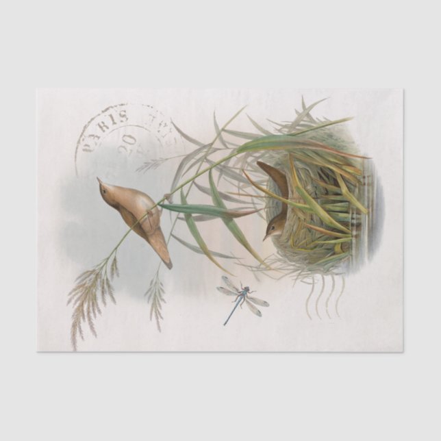 Papel De Seda Wren Bird Nest Dragonfly Francés Postmark Decoupag (Anverso)