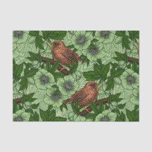 Papel De Seda Wren y hellebore, verde claro