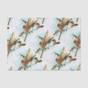 Papel De Seda wrens y gato-cola