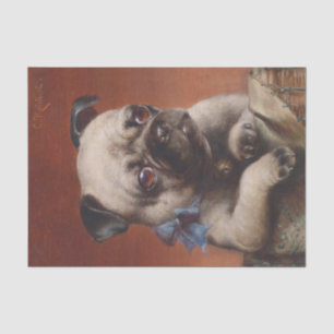 Papel De Seda Young Pug por Carl Reichert