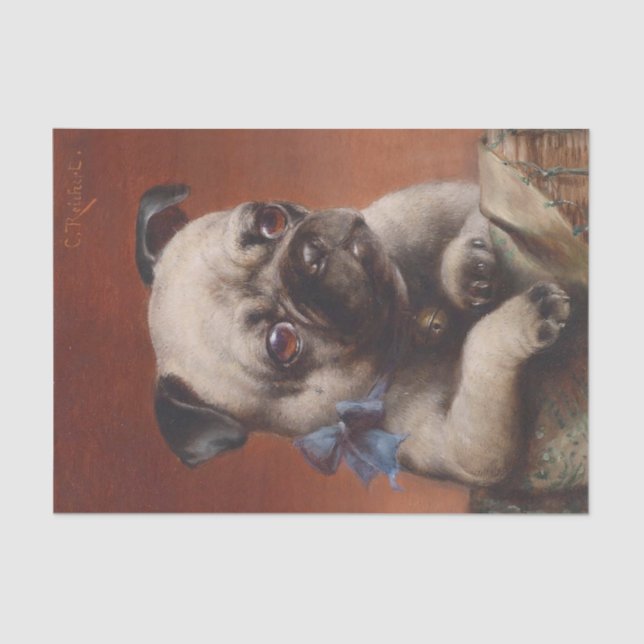 Papel De Seda Young Pug por Carl Reichert (Anverso)