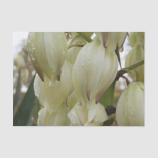 Papel De Seda Yucca Plant