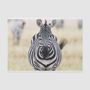 Papel De Seda Zebra mirándote