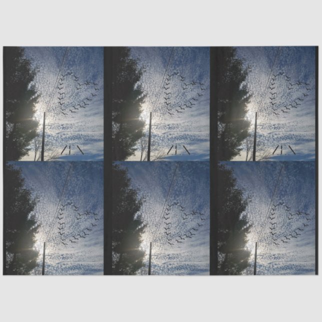 PAPEL DE SEDA ZEN (Anverso)