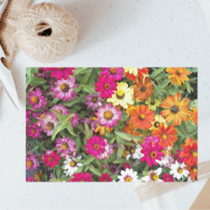 Papel De Seda Zinnia Flower Garden Floral