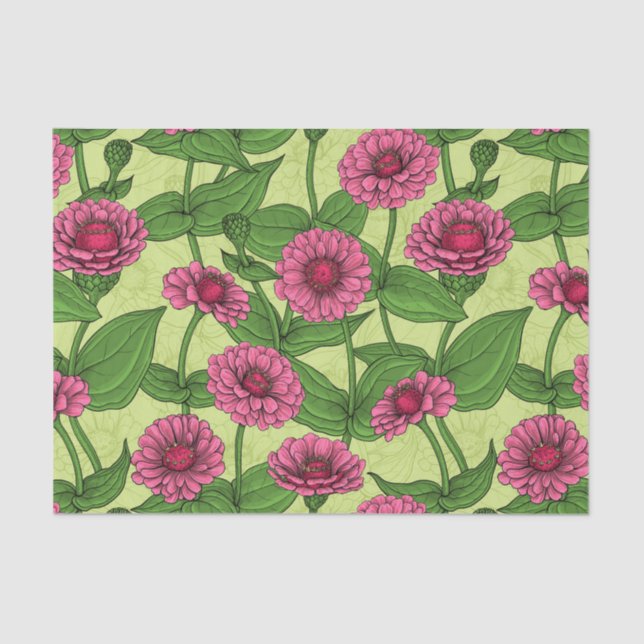 Papel De Seda Zinnias rosas sobre verde claro (Anverso)