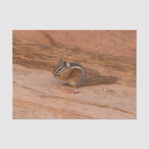 Papel De Seda Zion Chipmunk sobre las rocas rojas