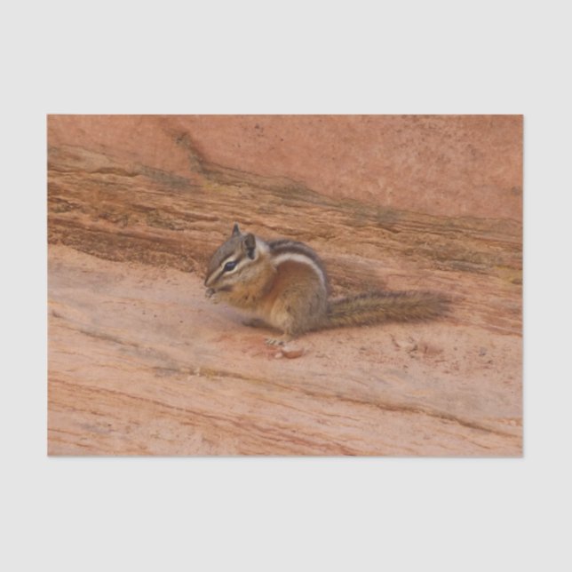 Papel De Seda Zion Chipmunk sobre las rocas rojas (Anverso)