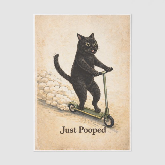 Papel De Seda Zoomies Kitty  (Anverso)