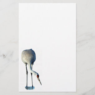 Papel de Stationery en Sandhill Crane Photo
