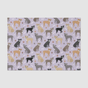 Papel de tapicería de Pitbull y de tejidos de hues