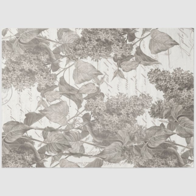 Papel de tapón de collarín de lino vintado (Anverso)