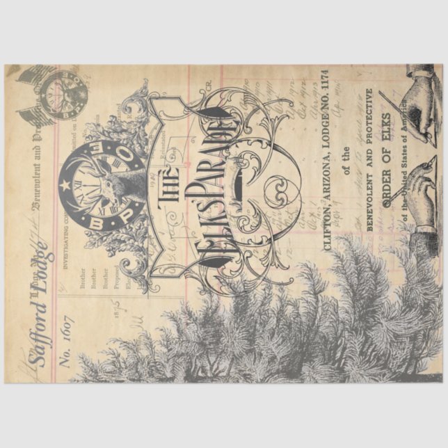 Papel de tapón elástico (Anverso)