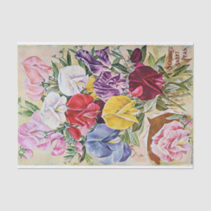 Papel de té de margaritas de grano antiguo